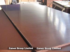 Film Faced Plywood and Anti-Slip Film Faced Plywood